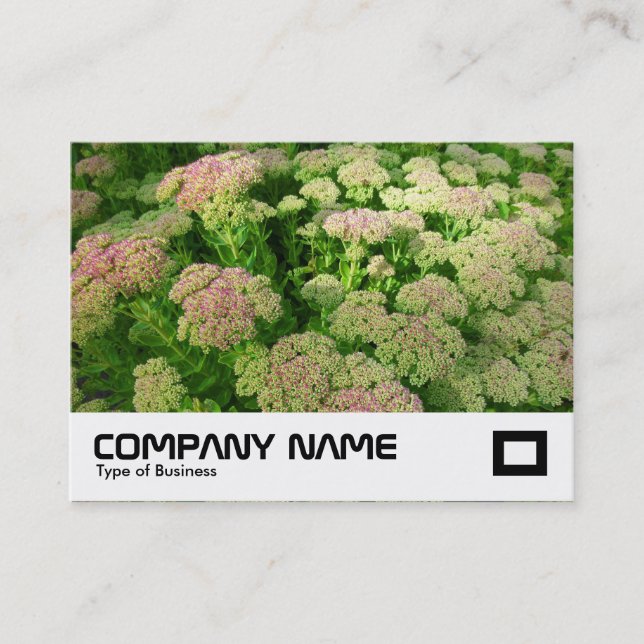 Sedum "Autumn Joy" Visitkort (Framsida)