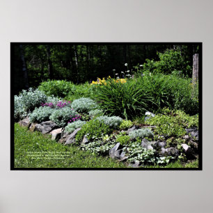 Sedum Silvers Pinks Sten Garden Poster