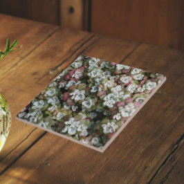 Sedum Spathulifolium Sukkulenter Blommig Kakelplatta