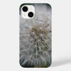 Seeding Dandelion Flower