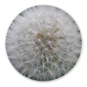 Seeding Dandelion Flower Ceramic Knob Knopp