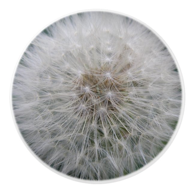 Seeding Dandelion Flower Ceramic Knob Knopp (Framsidan)