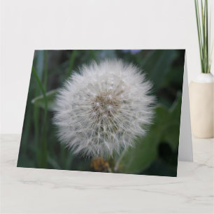 Seeding Dandelion Flower Giant Greeting Card Kort