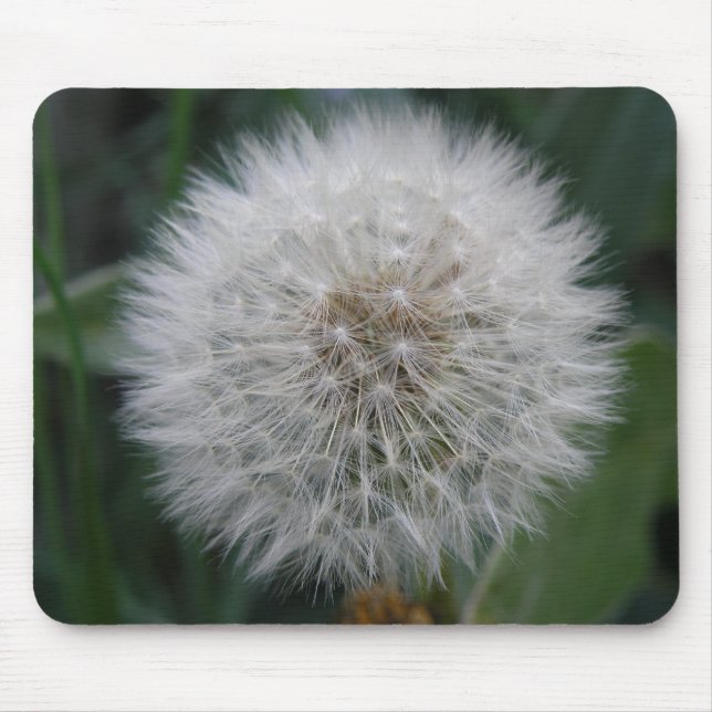 Seeding Dandelion Flower Mousepad Musmatta (Framsidan)