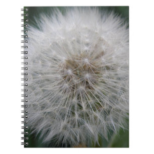 Seeding Dandelion Flower Notebook Anteckningsbok