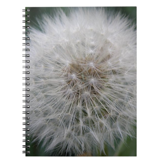 Seeding Dandelion Flower Notebook Anteckningsbok (Framsidan)