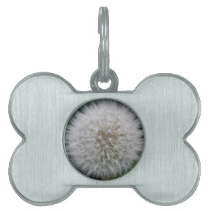 Seeding Dandelion Flower Pet Tag ID-bricka Husdjur