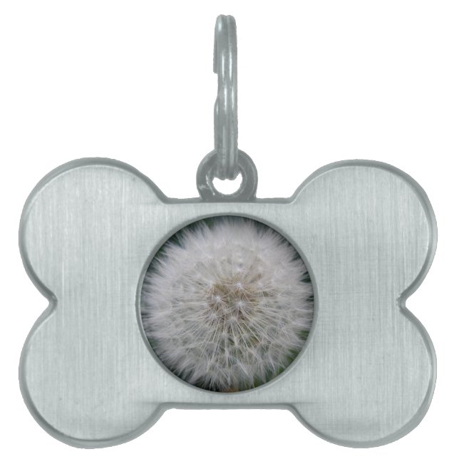 Seeding Dandelion Flower Pet Tag ID-bricka Husdjur (Framsidan)