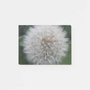 Seeding Dandelion Flower Post it notes Pad Post-it Block