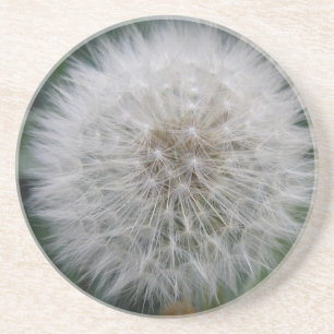 Seeding Dandelion Flower Underlägg