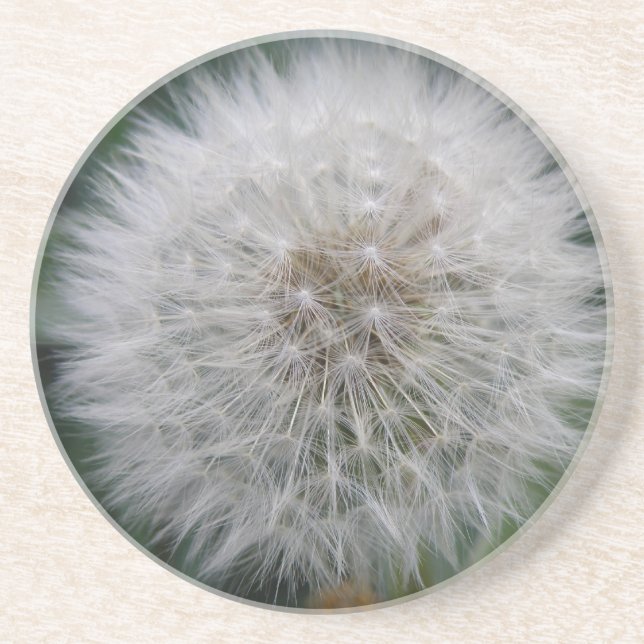 Seeding Dandelion Flower Underlägg (Framsidan)