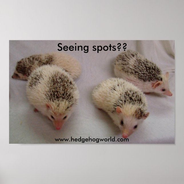 Seeing spots? poster (Framsidan)