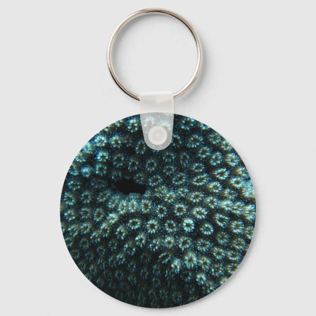 Seepocken Nyckelring (Framsida)