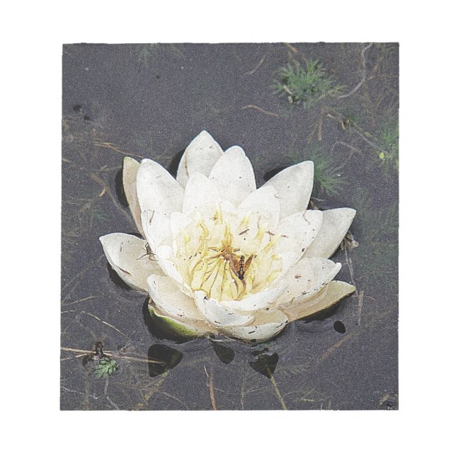Seerose Anteckningsblock (Framsida)