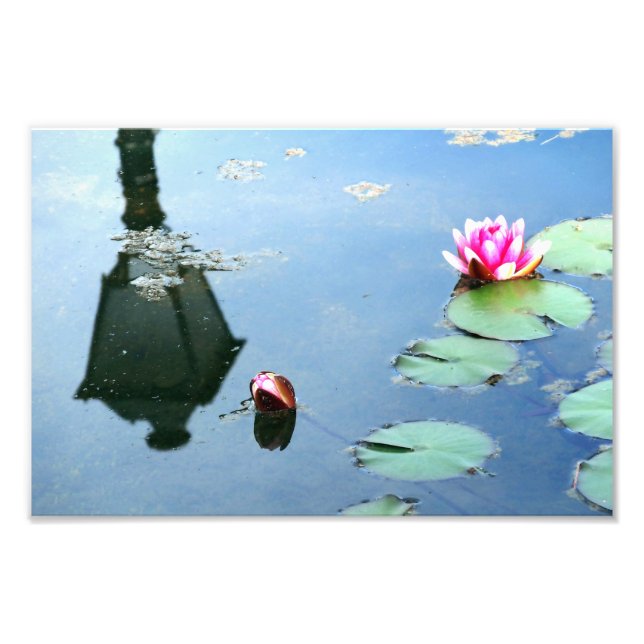 Seerose mit Reflexion der Laterne Fototryck (Framsidan)