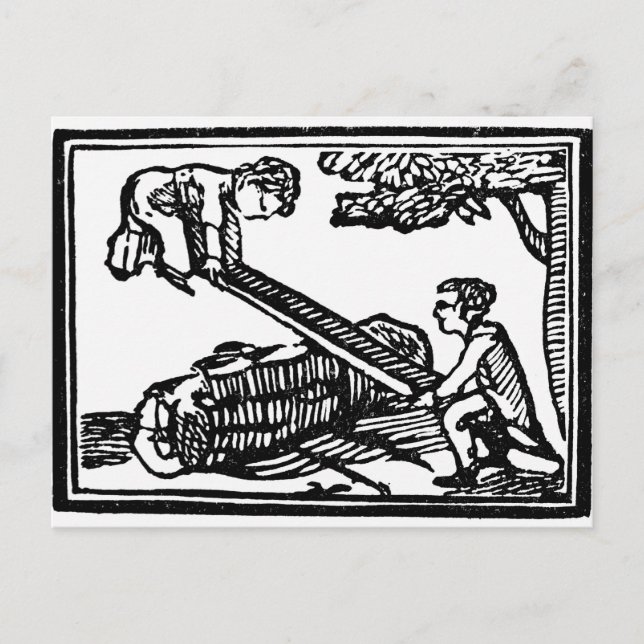 Seesaw Vykort (Framsida)