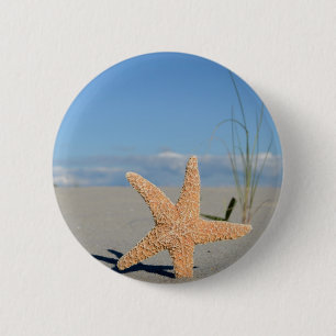 Seestern am Strand Knapp