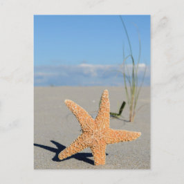 Seestern am Strand Vykort