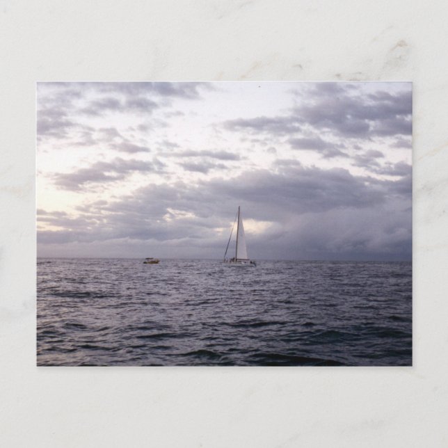 Segel i Hawaii II Vykort (Framsida)