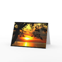 Segel in i solnedgången Pension Humor