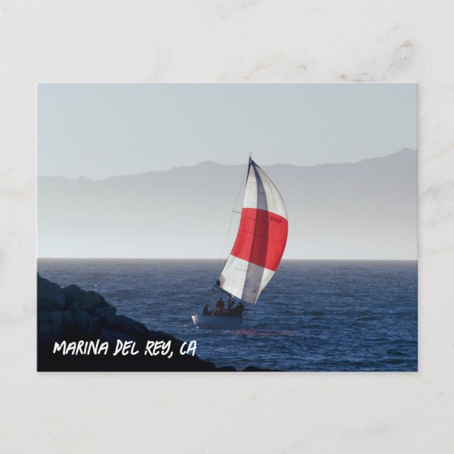 Segelbåt - Marina Del Rey, CA Vykort (Framsida)