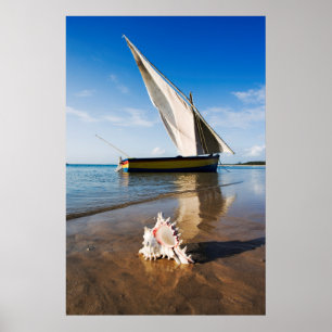 Segelbåt och snäcka Mocambique, Benguerra loge Poster