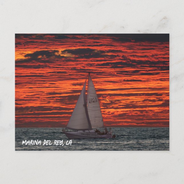 Segelbåt vid solnedgång - Marina Del Rey, CA Vykort (Framsida)