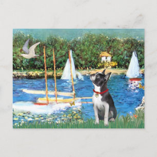 Segelbåtar - Boston Terrier #@ Vykort