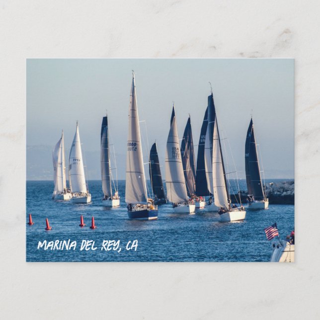 Segelbåtar - huvudkanal - Marina Del Rey, CA Vykort (Framsida)