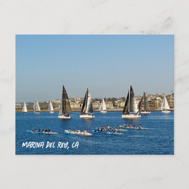 Segelbåtar i kanalen. Marina Del Rey, CA Vykort (Framsida)