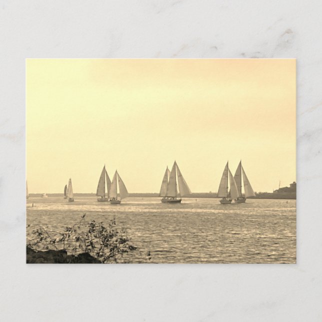 Segelbåtar i Sepia vykort (Framsida)