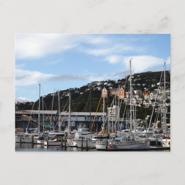 Segelbåtar i Wellington-vykort Vykort (Framsida)