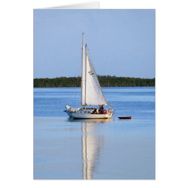 Segelbåtar sida vid sida hälsningskort (Framsidan)