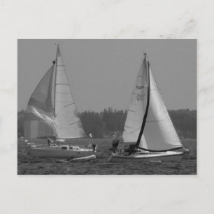 Segelbåtar Vykort