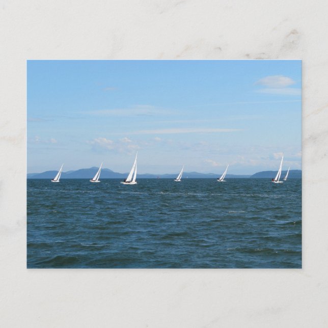 Segelbåtsregattan Vykort (Framsida)