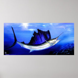 Segelfisk ’ålbehandling’ poster