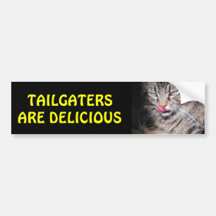 Segelgatare är jättebra Kattunge Bildekal