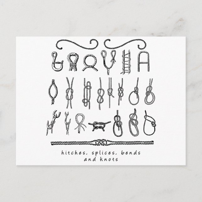 Segelknoppar Vykort (Framsida)