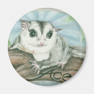 Segelsockerreglage Magnet