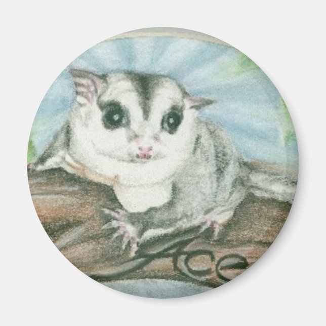 Segelsockerreglage Magnet (Framsidan)