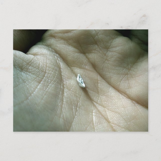 Seger längs livlinan vykort (Framsida)