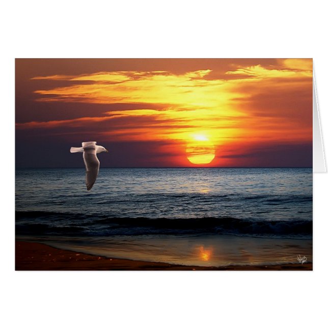 Segla utmed kusten OBS kort (Framsidan Horizontal)