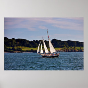 Segling i Newport, Rhode Island, USA Poster