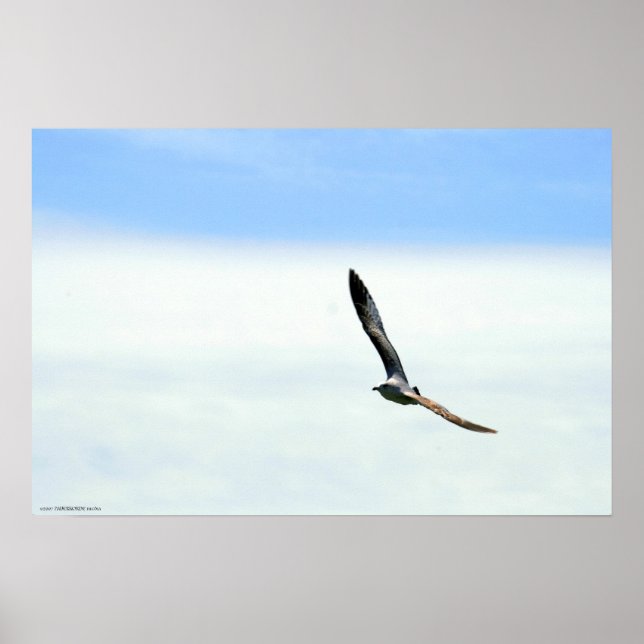 Segment - Anpassad Poster (Framsidan)