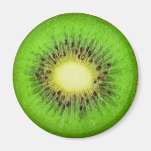 Segment av kiwi magnet