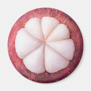 Segment av mangostan magnet