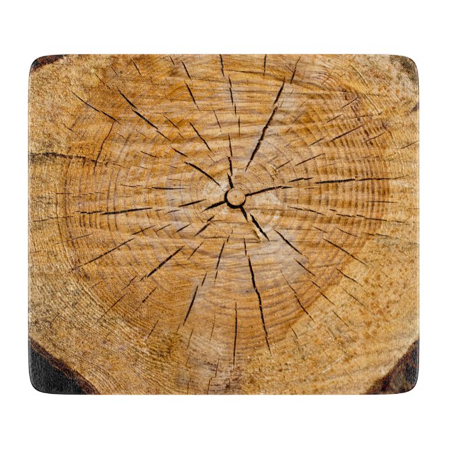 Segment i livet (Framsidan)