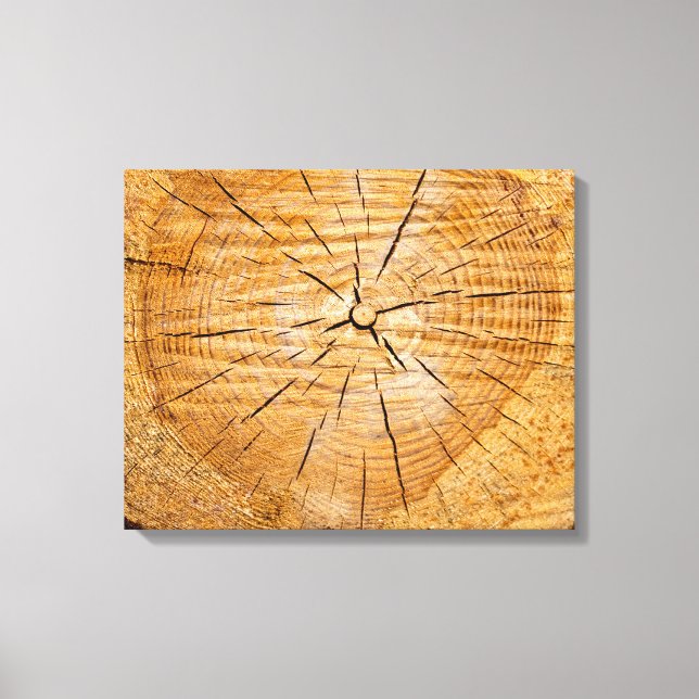 Segment i livet canvastryck (Framsida)