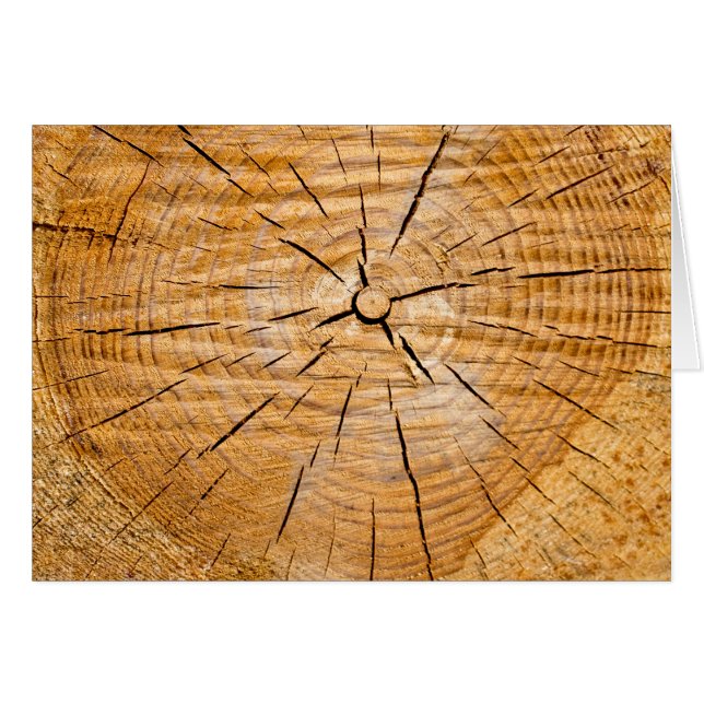 Segment i livet hälsningskort (Framsidan Horizontal)