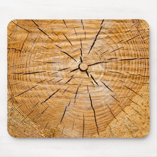 Segment i livet musmatta (Framsidan)